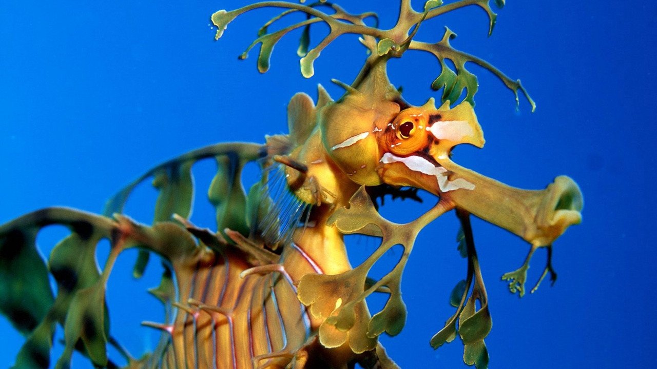 Сезон 4 Серия 16