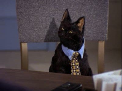 Сезон 1 Серия 22