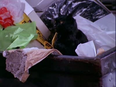 Сезон 1 Серия 11