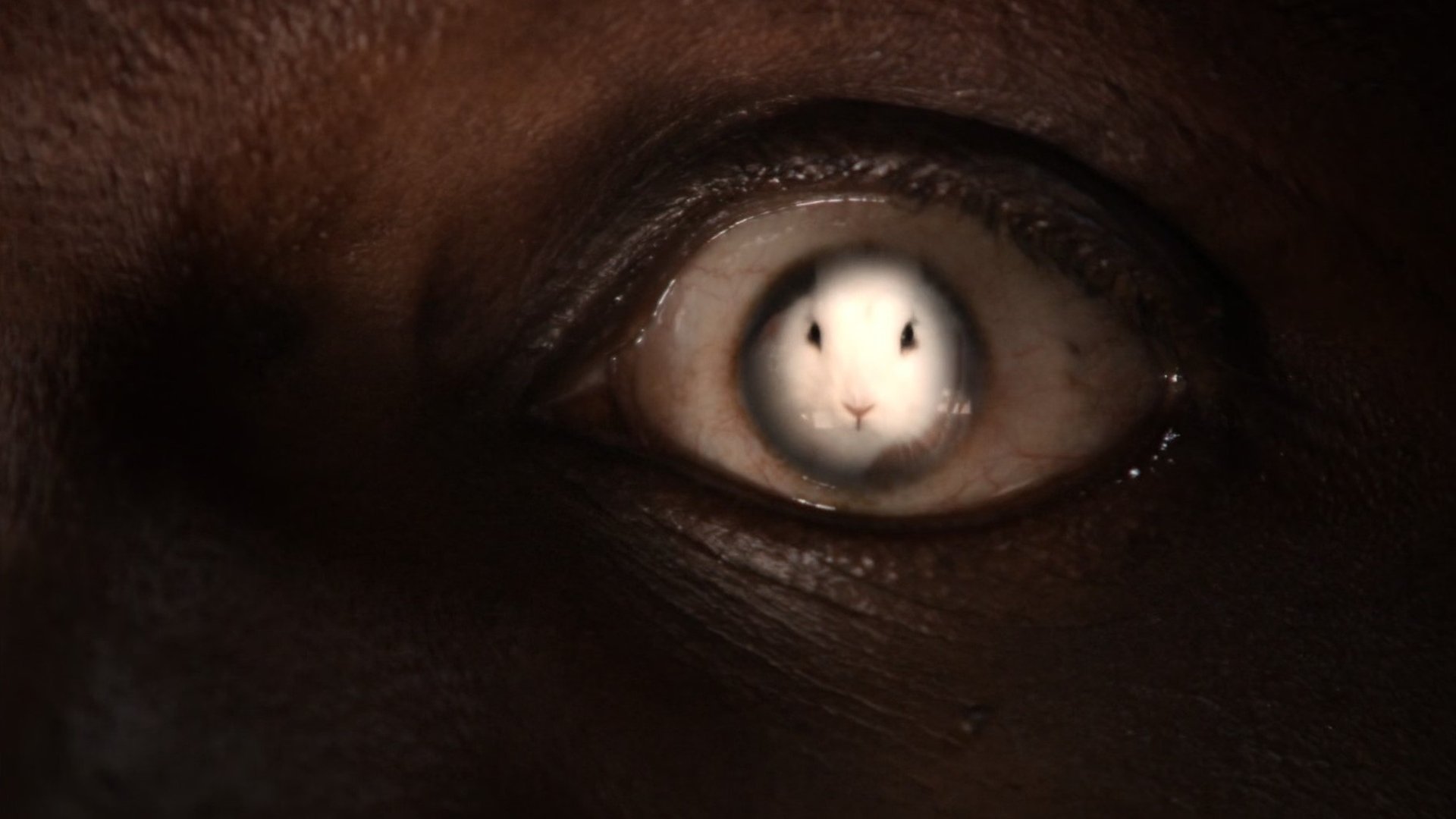 Сезон 2 Серия 17