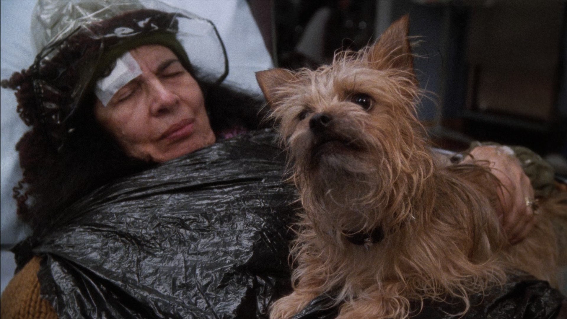 Сезон 2 Серия 18