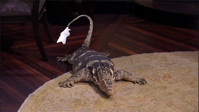 Сезон 2 Серия 4