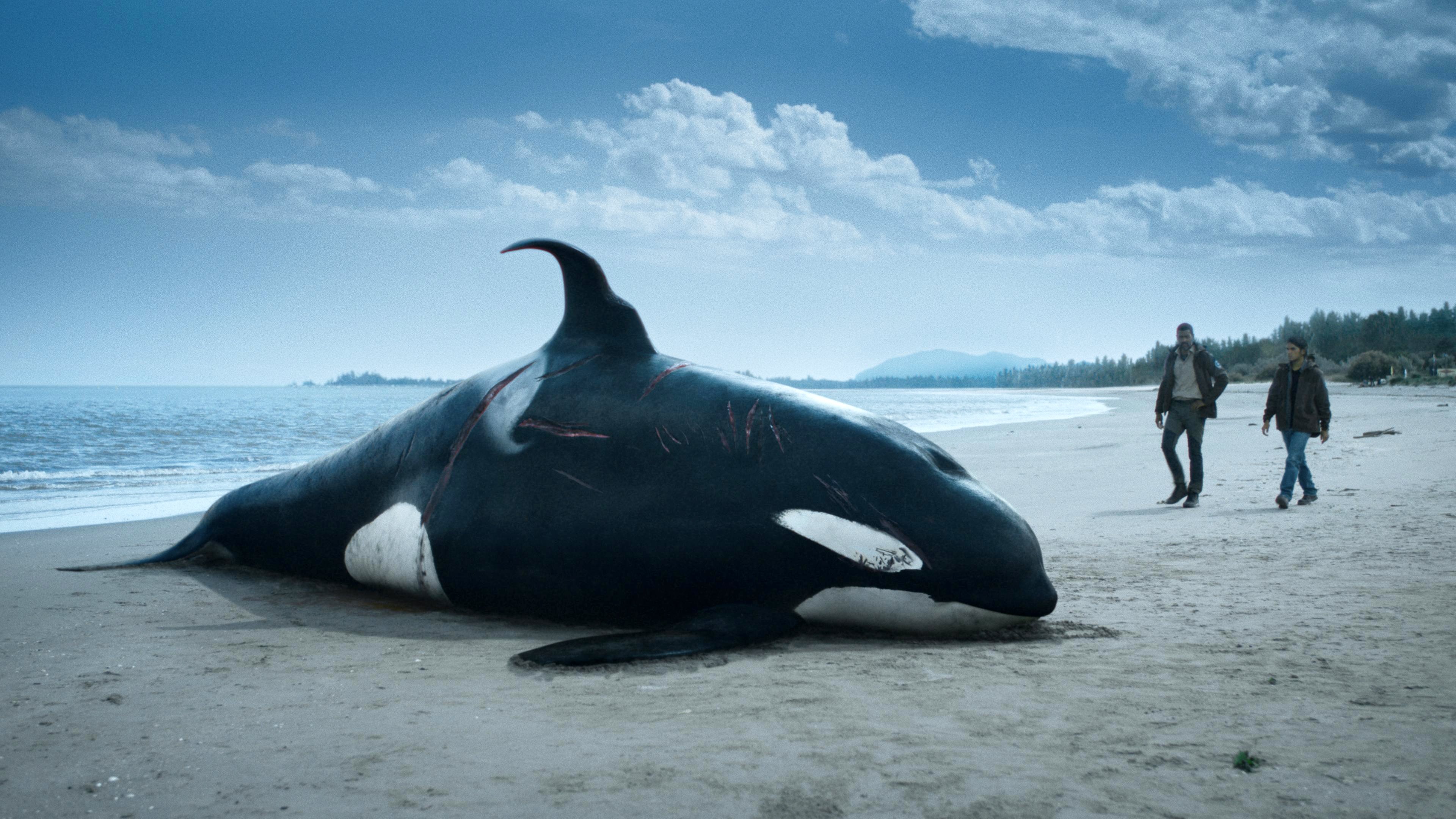 Сезон 1 Серия 1