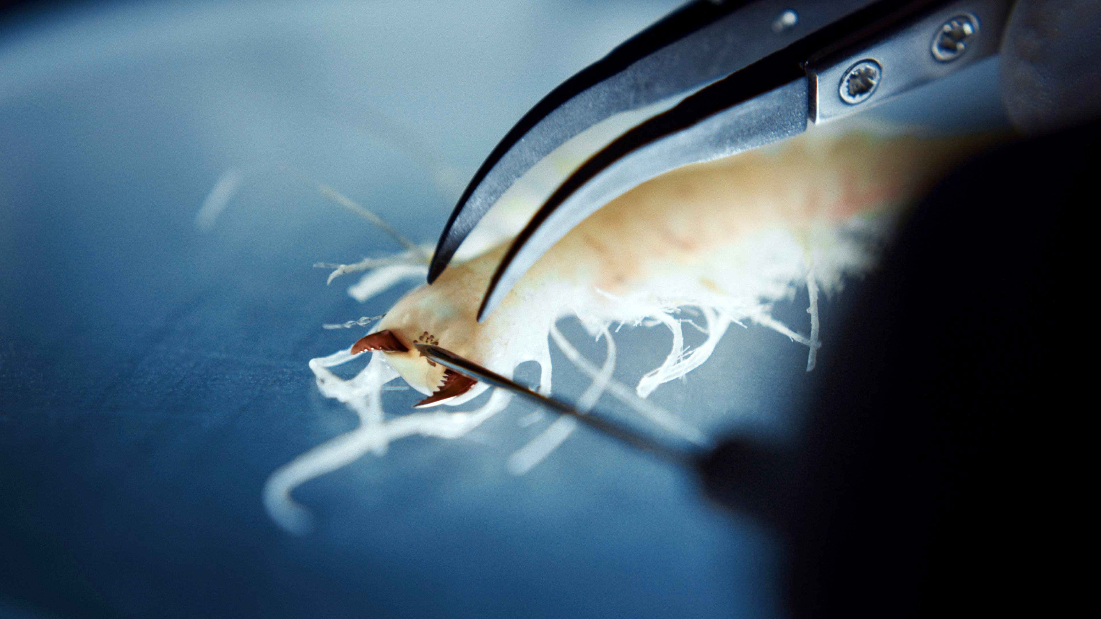 Сезон 1 Серия 2