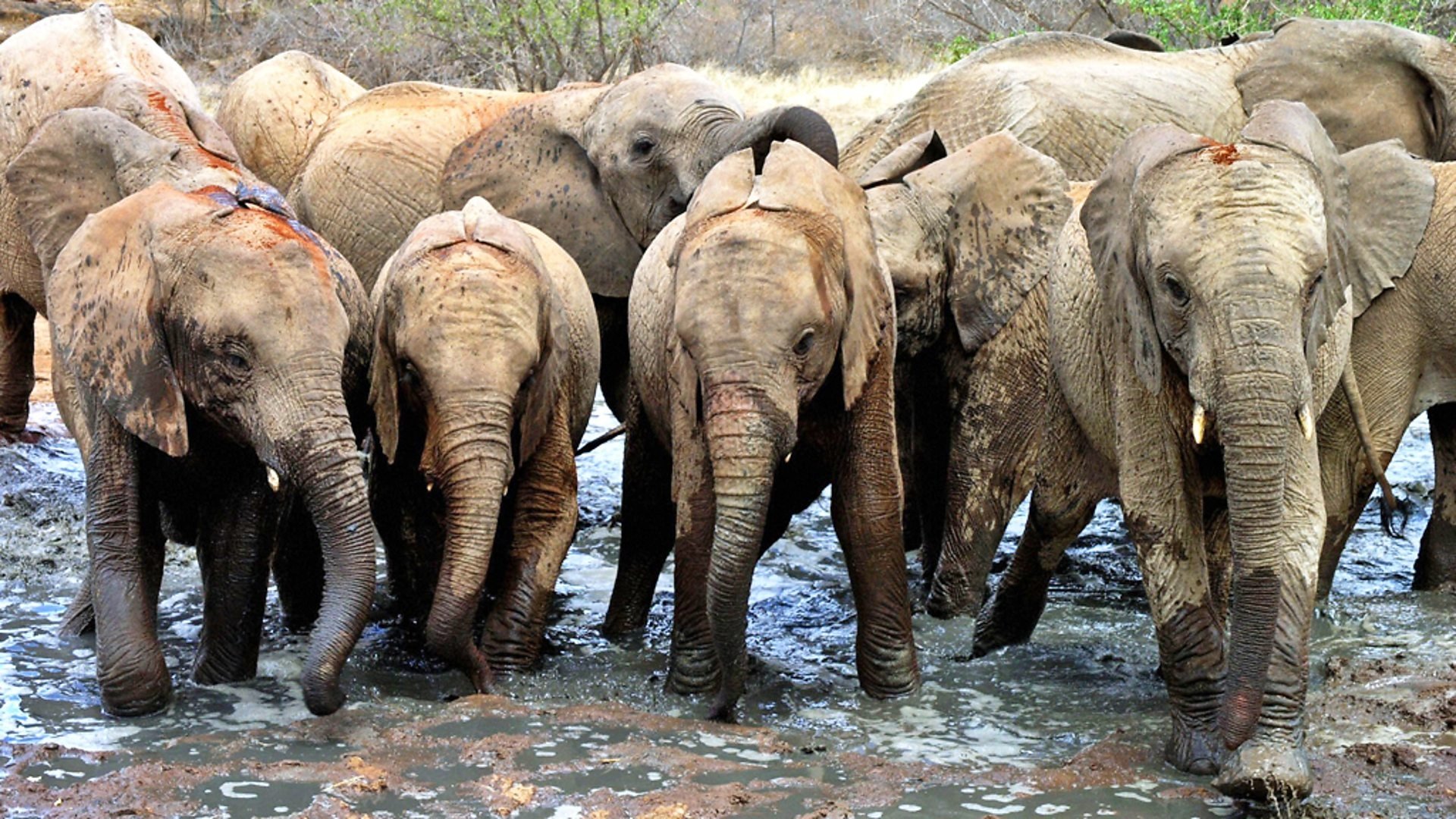 Сезон 1 Серия 1