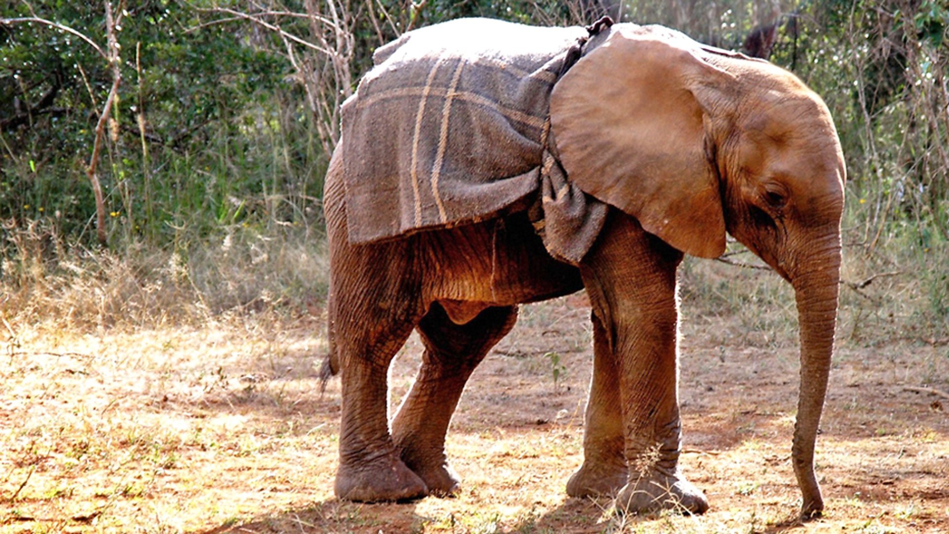 Сезон 1 Серия 2