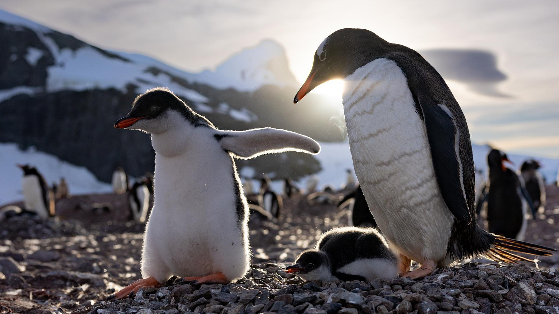 Сезон 1 Серия 3