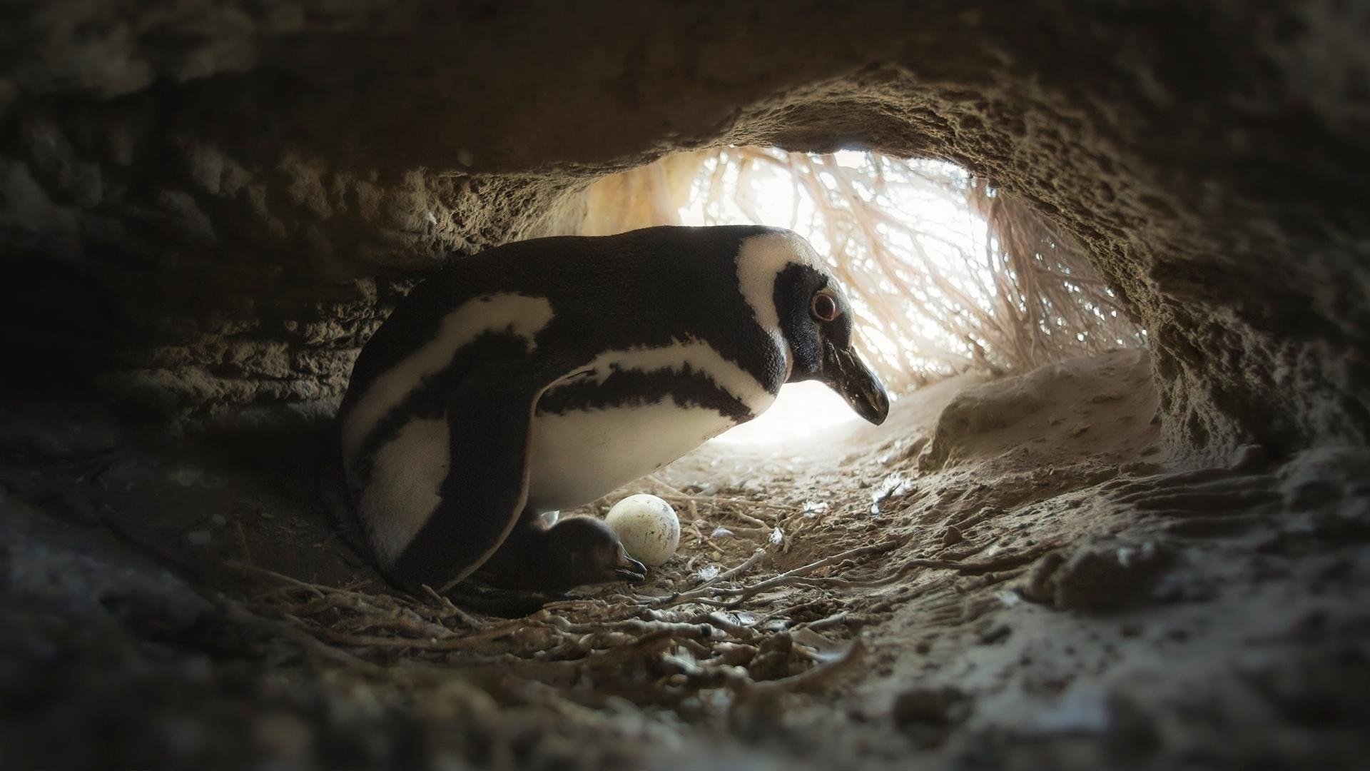 Сезон 1 Серия 2