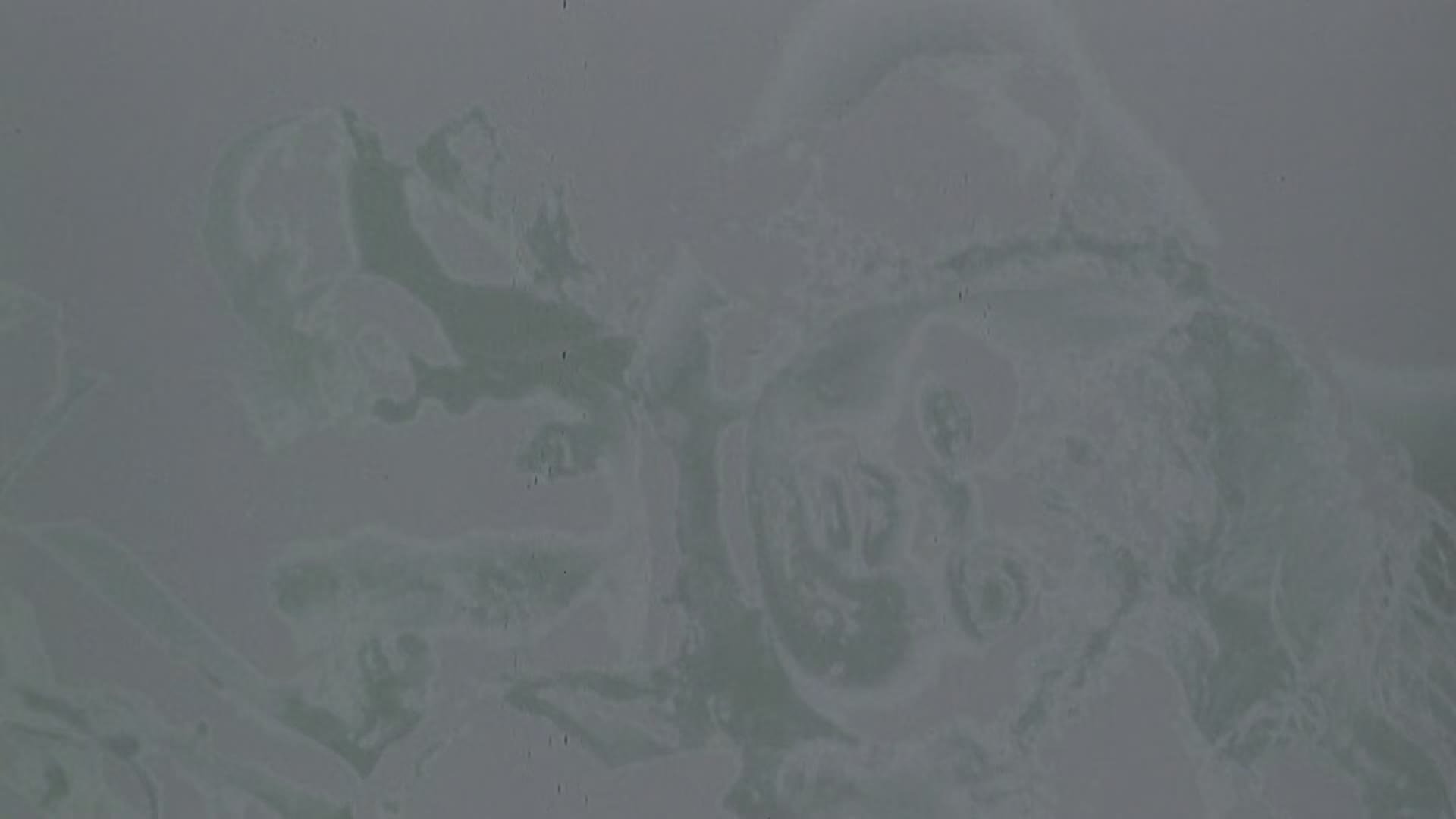 Сезон 13 Серия 3