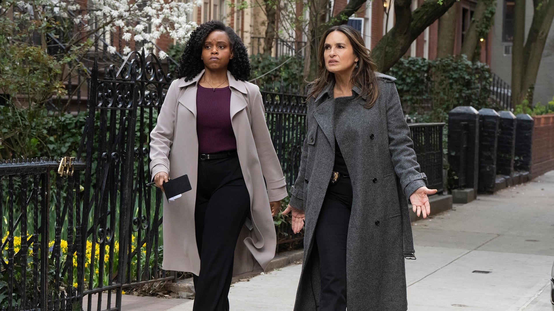 Сезон 26 Серия 22