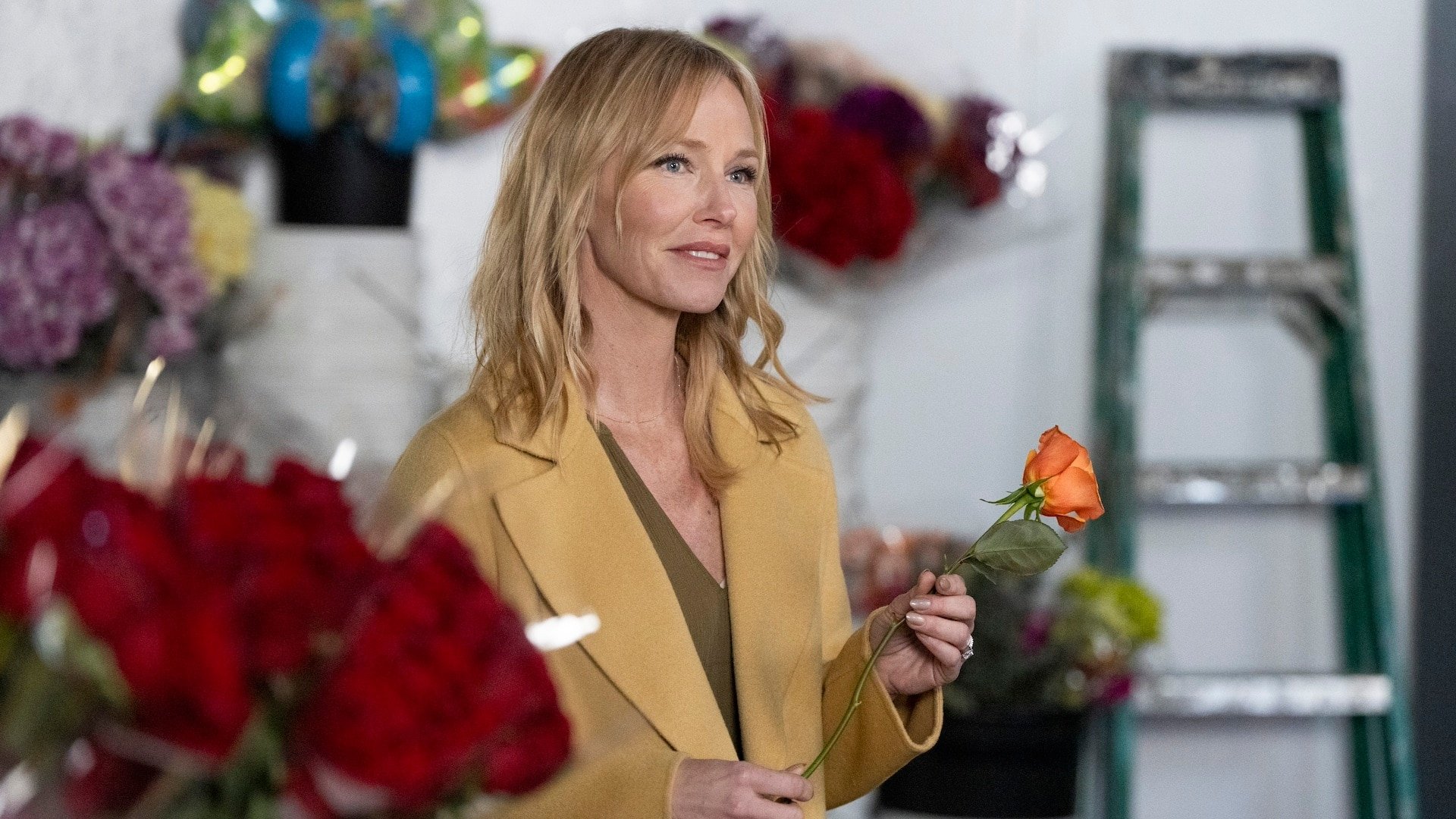 Сезон 25 Серия 11