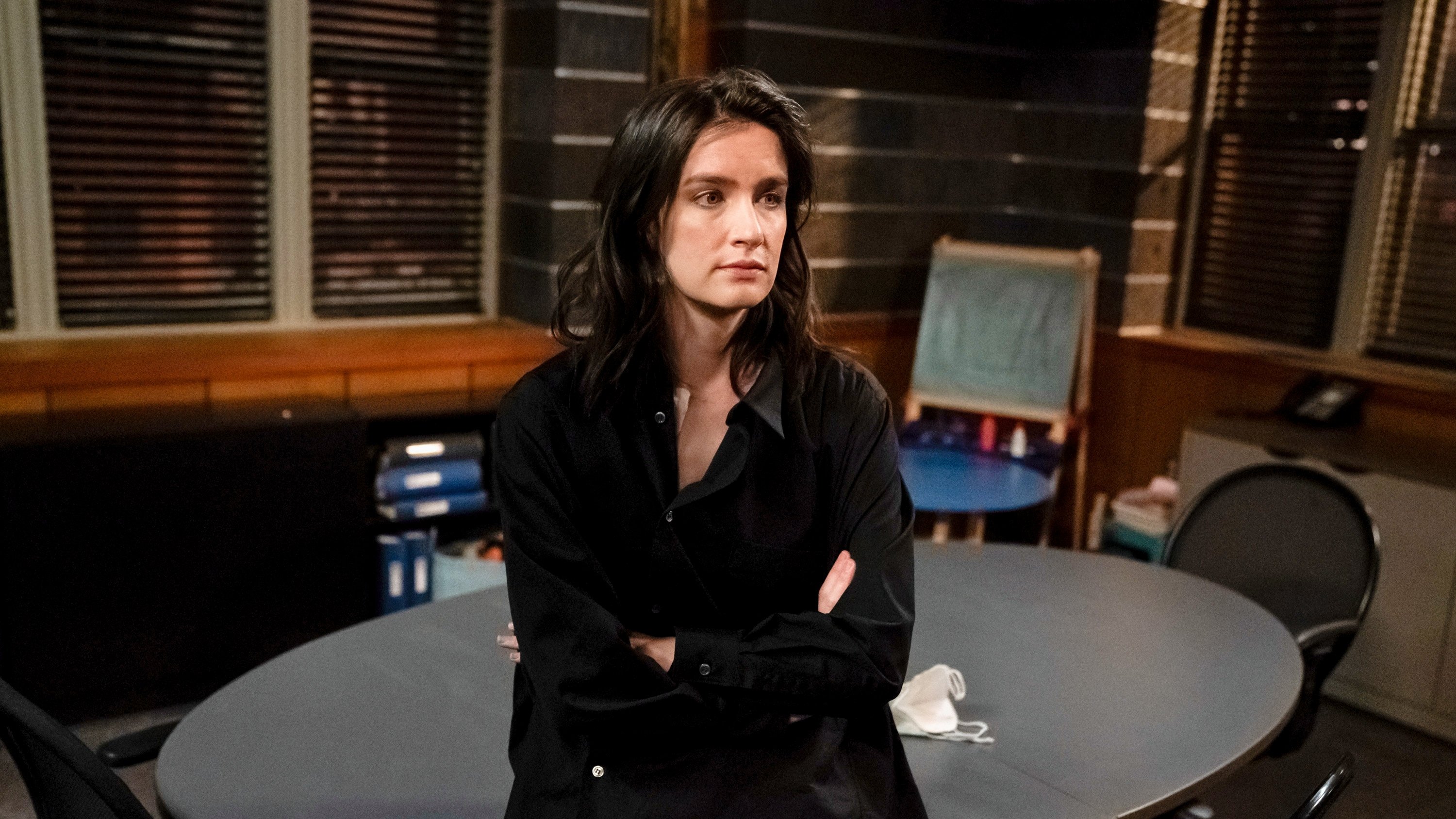 Сезон 22 Серия 15