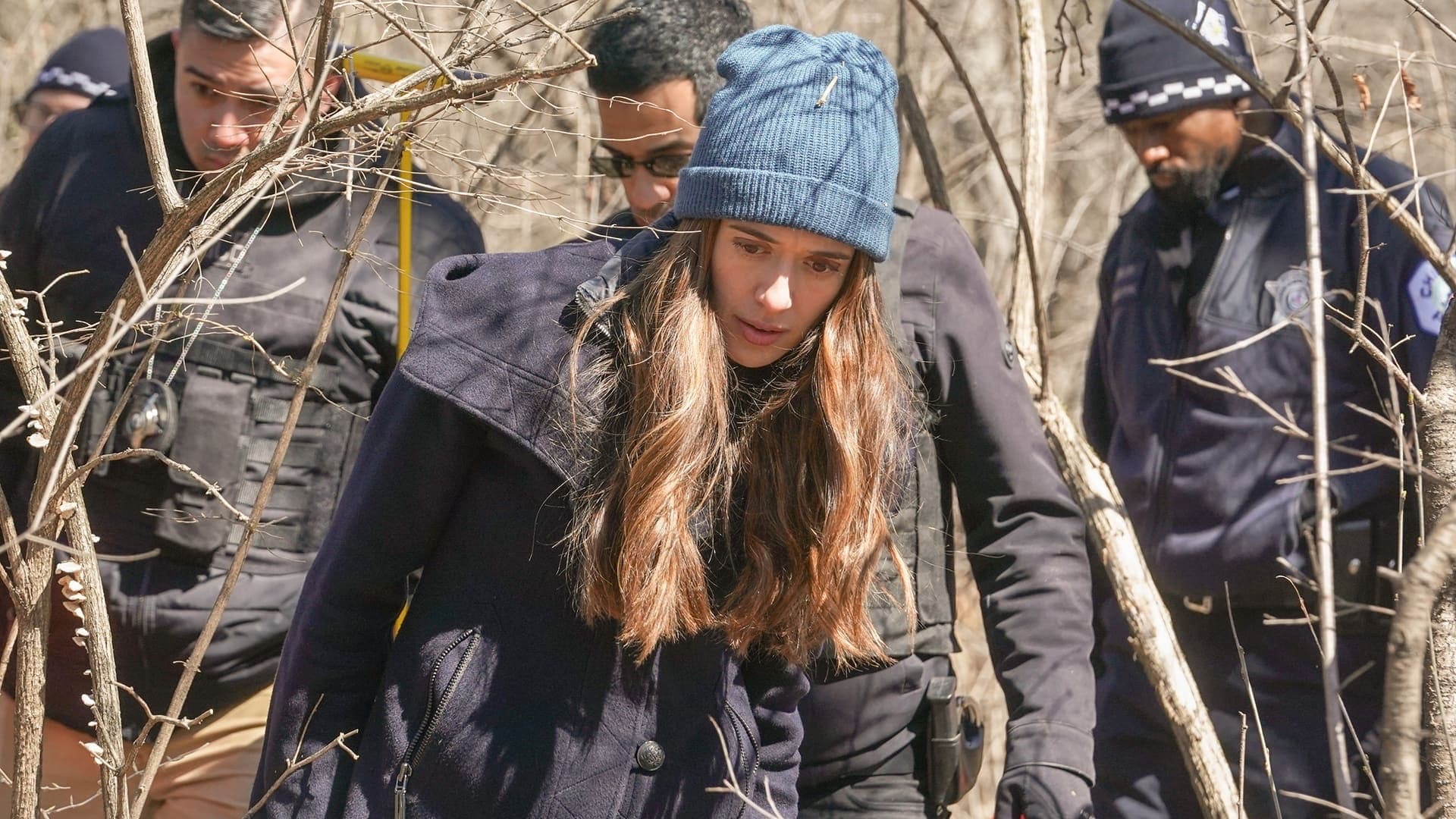 Сезон 9 Серия 20