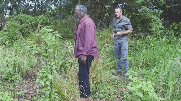 Сезон 8 Серия 19