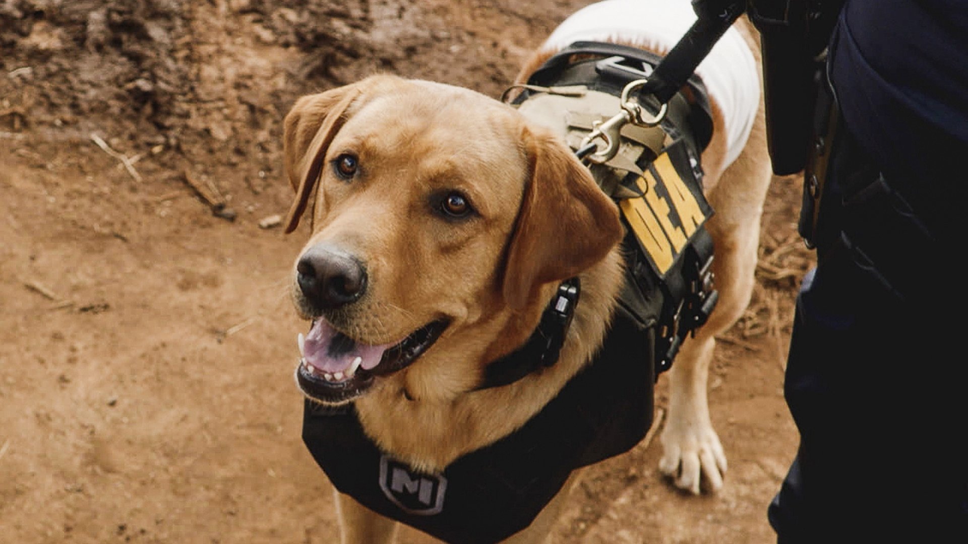 Сезон 8 Серия 2