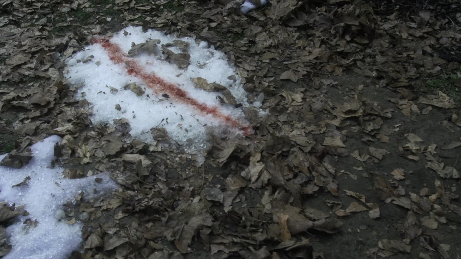 Сезон 12 Серия 14