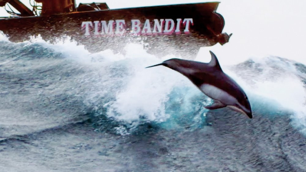 Сезон 20 Серия 6