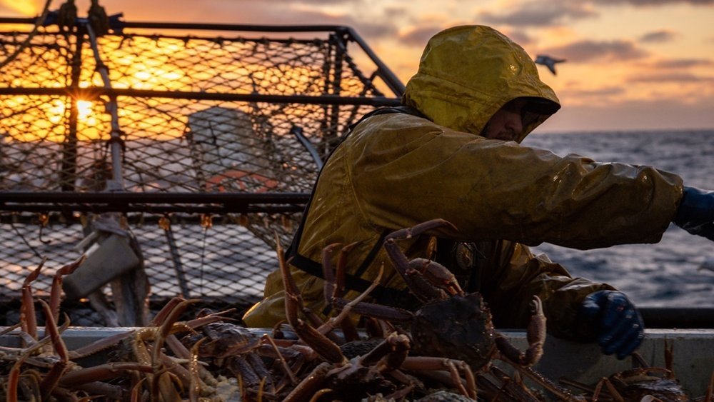 Сезон 20 Серия 4