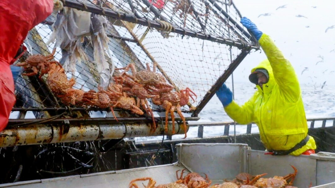 Сезон 19 Серия 18