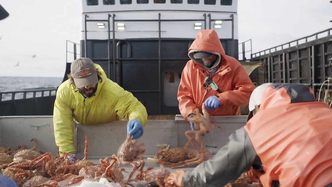 Сезон 19 Серия 8