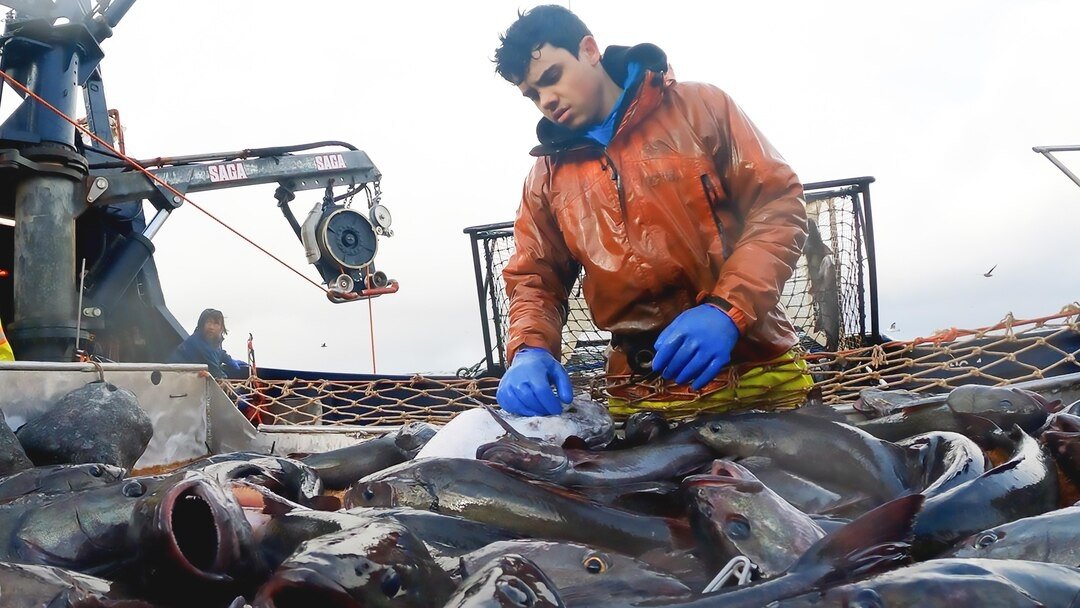 Сезон 19 Серия 7