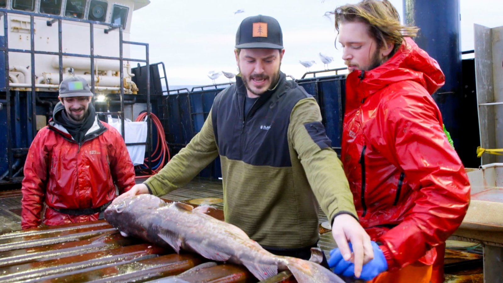 Сезон 18 Серия 16