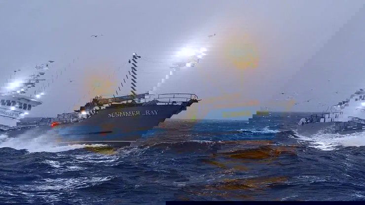 Сезон 17 Серия 14