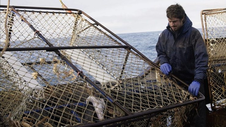 Сезон 17 Серия 8