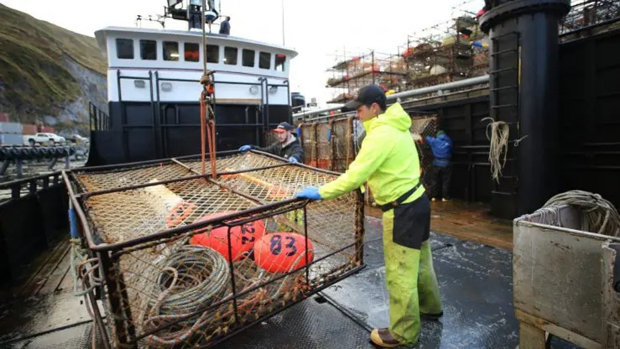 Сезон 17 Серия 1