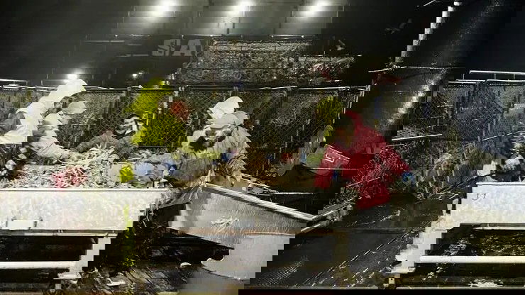 Сезон 16 Серия 22