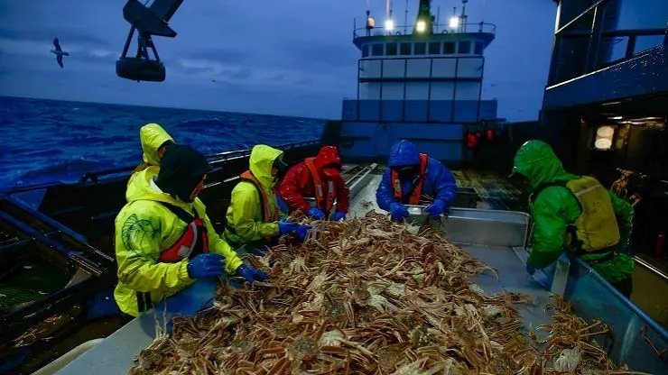 Сезон 16 Серия 14