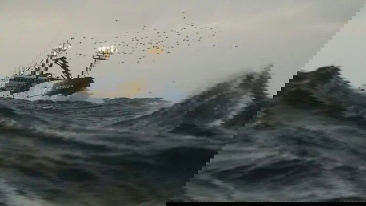 Сезон 15 Серия 16