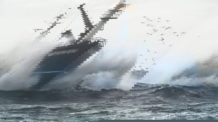 Сезон 15 Серия 3