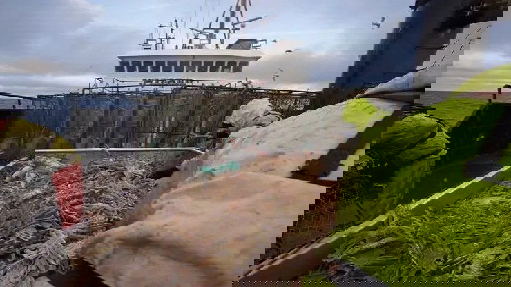 Сезон 14 Серия 17