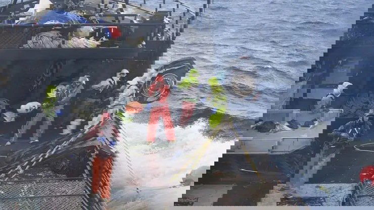 Сезон 14 Серия 15