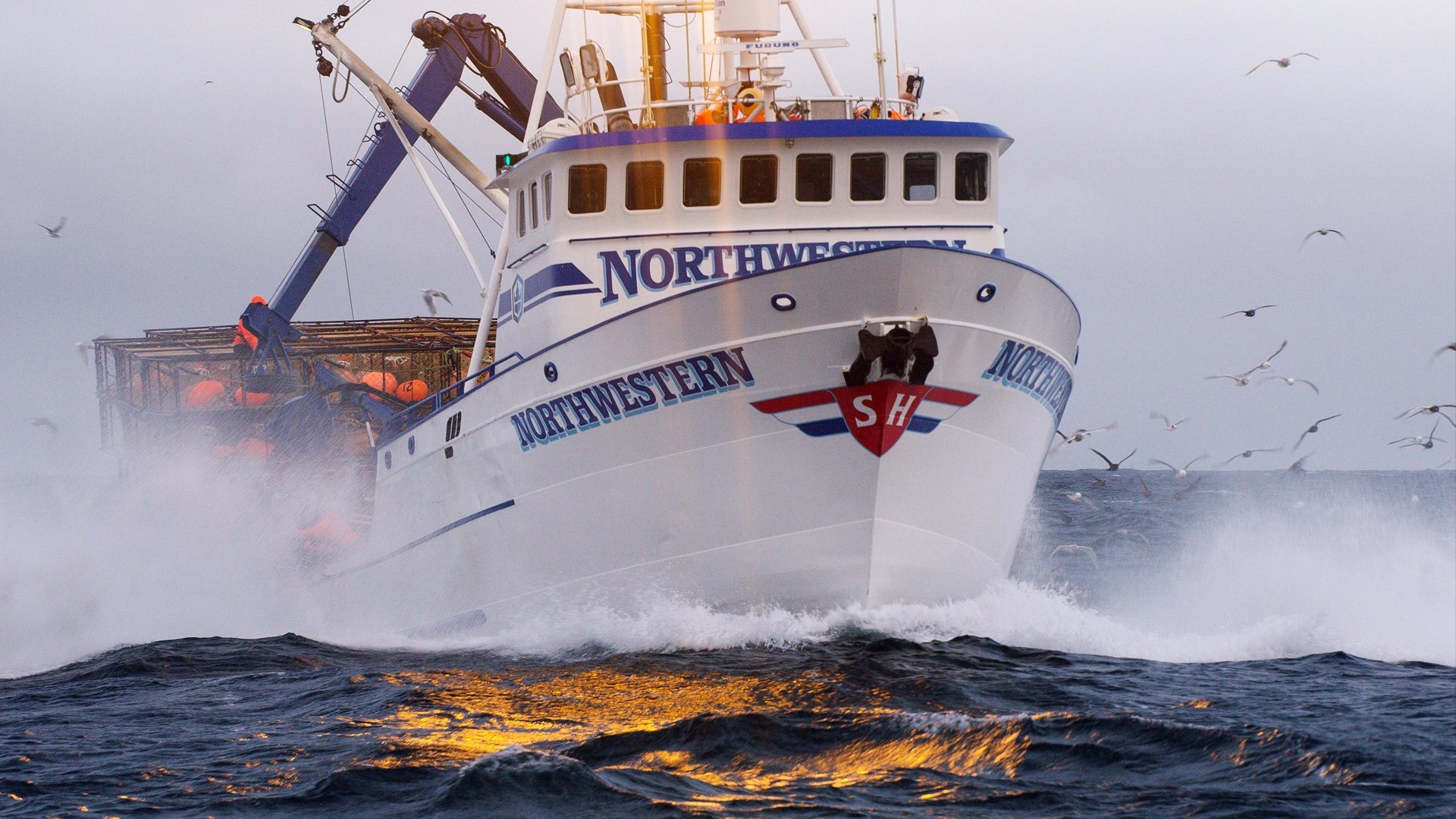 Сезон 14 Серия 1