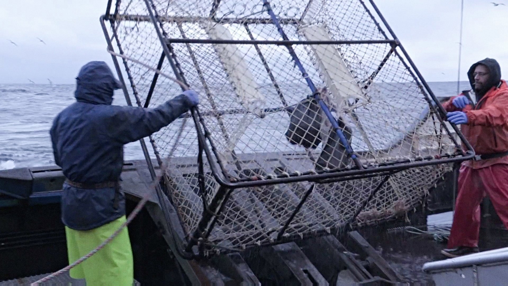 Сезон 12 Серия 12