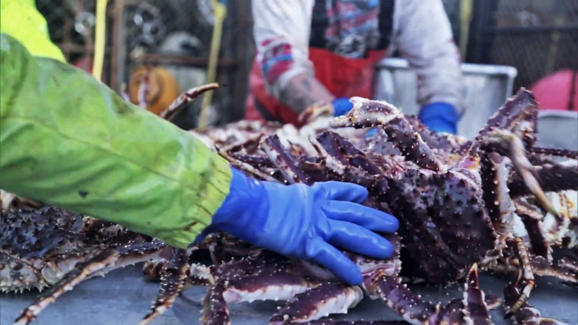 Сезон 12 Серия 5