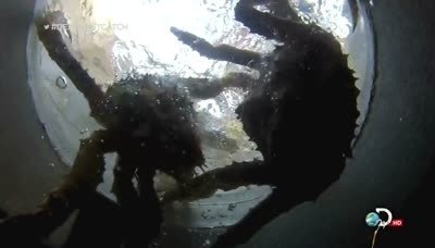 Сезон 9 Серия 5