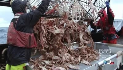 Сезон 8 Серия 12