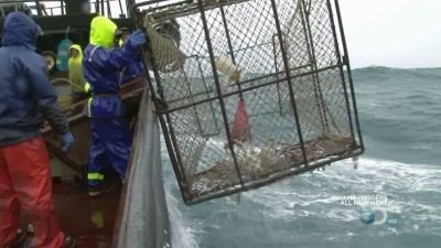 Сезон 6 Серия 3