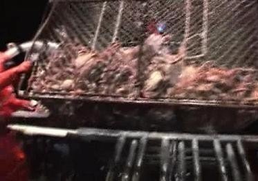 Сезон 4 Серия 7