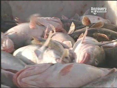 Сезон 2 Серия 7