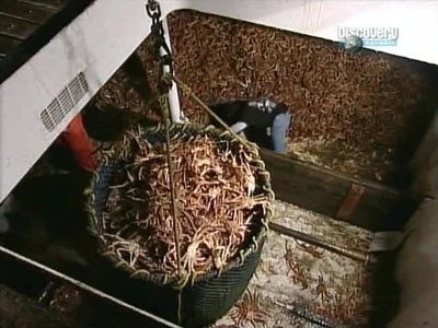 Сезон 1 Серия 10