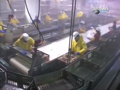 Сезон 1 Серия 8