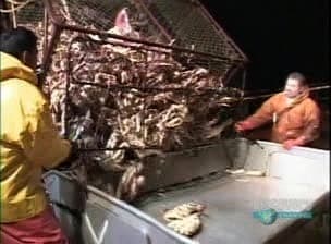 Сезон 1 Серия 3