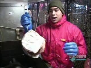 Сезон 1 Серия 1