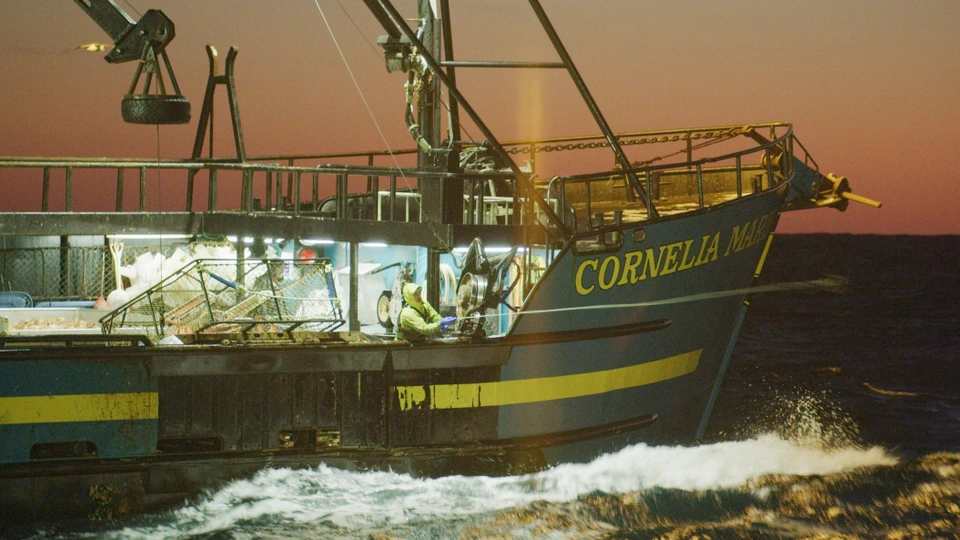 Сезон 15 Серия 10