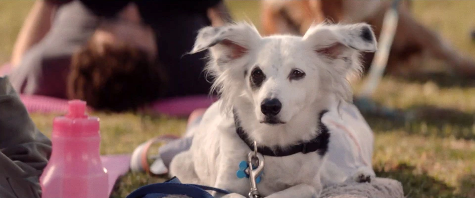 Сезон 2 Серия 9