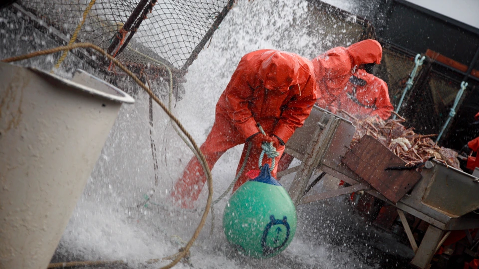 Сезон 3 Серия 14